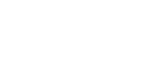 fastweb_vodafone_white_logo